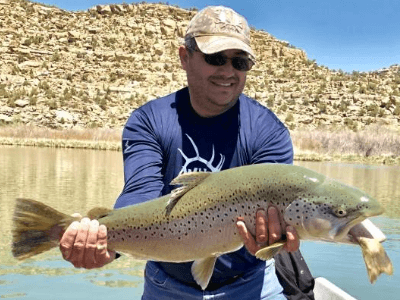 Capt. Dave Torres getting ready to release this massive San Juan River brown trout.