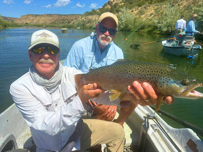 Client releasing large brown trout.