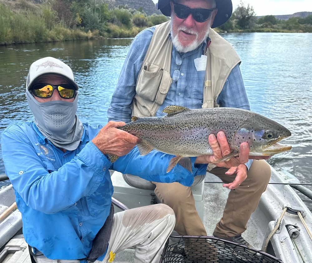 Client releasing large rainbow trout.